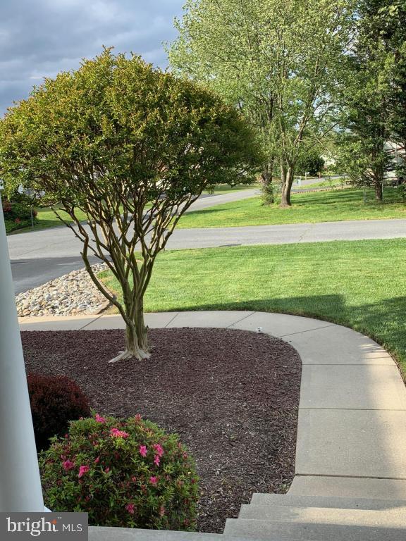 DESU2081958-803722998766-2025-03-27-07-04-20 31460 Point Dr | Lewes, DE Real Estate For Sale | MLS# Desu2081958  - Jack Lingo REALTOR