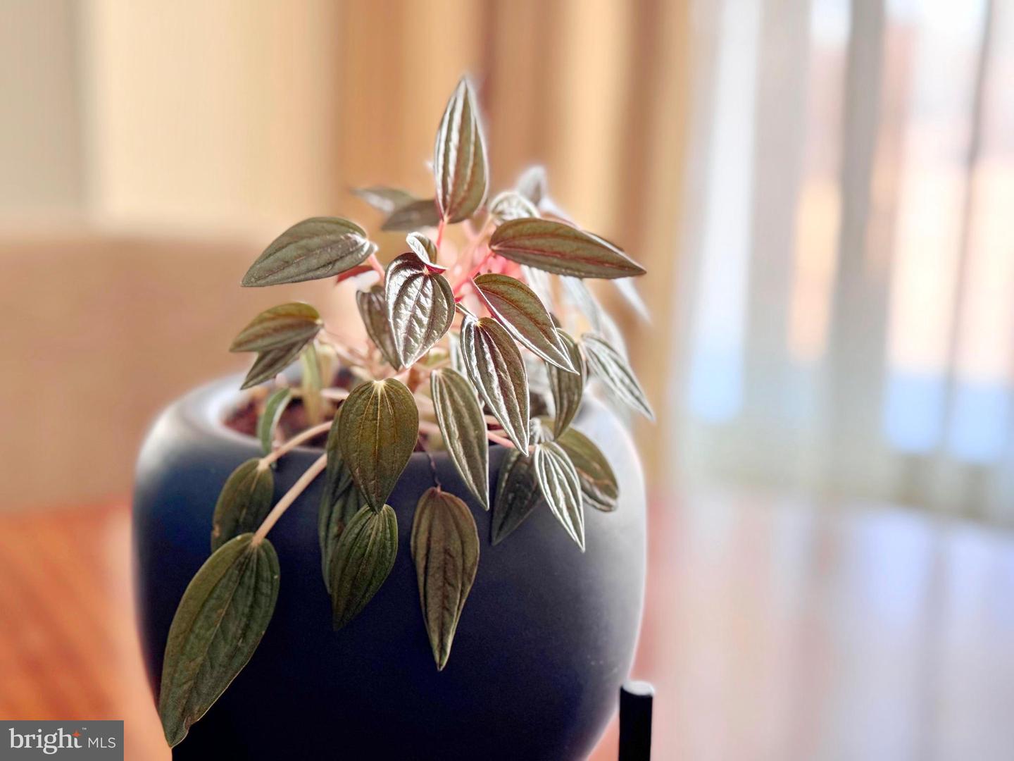 DESU2081962-803716266712-2025-07-26-07-27-10 110 Anglers Rd #hotel Blue | Lewes, DE Real Estate For Sale | MLS# Desu2081962  - Jack Lingo REALTOR
