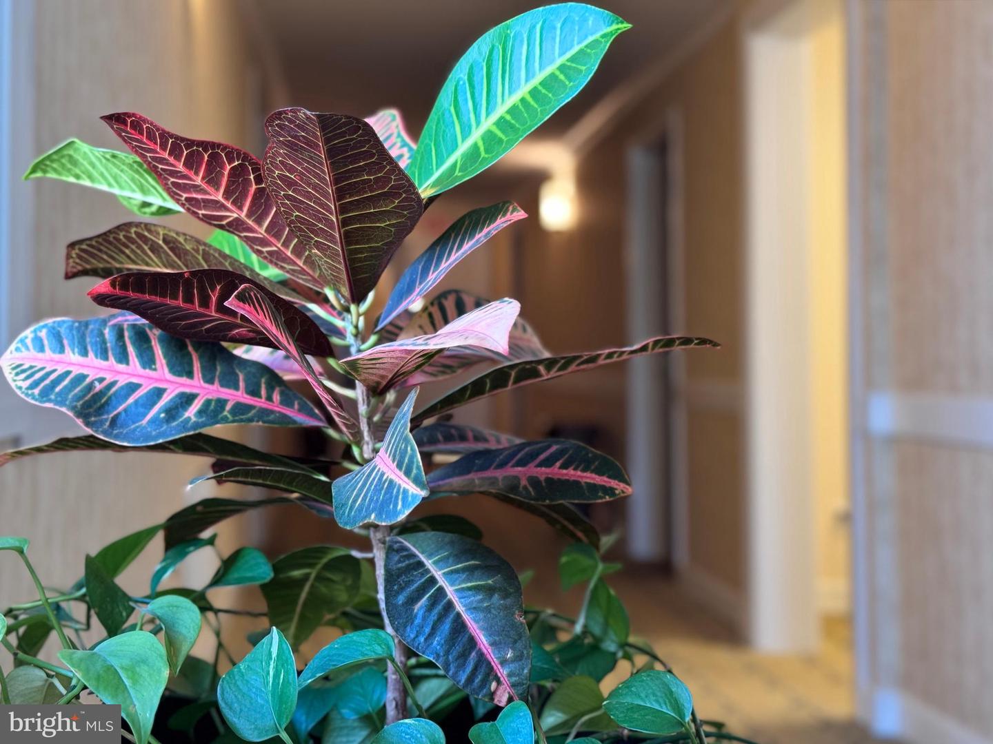 DESU2081962-803716268180-2025-03-25-08-41-40 110 Anglers Rd #hotel Blue | Lewes, DE Real Estate For Sale | MLS# Desu2081962  - Jack Lingo REALTOR
