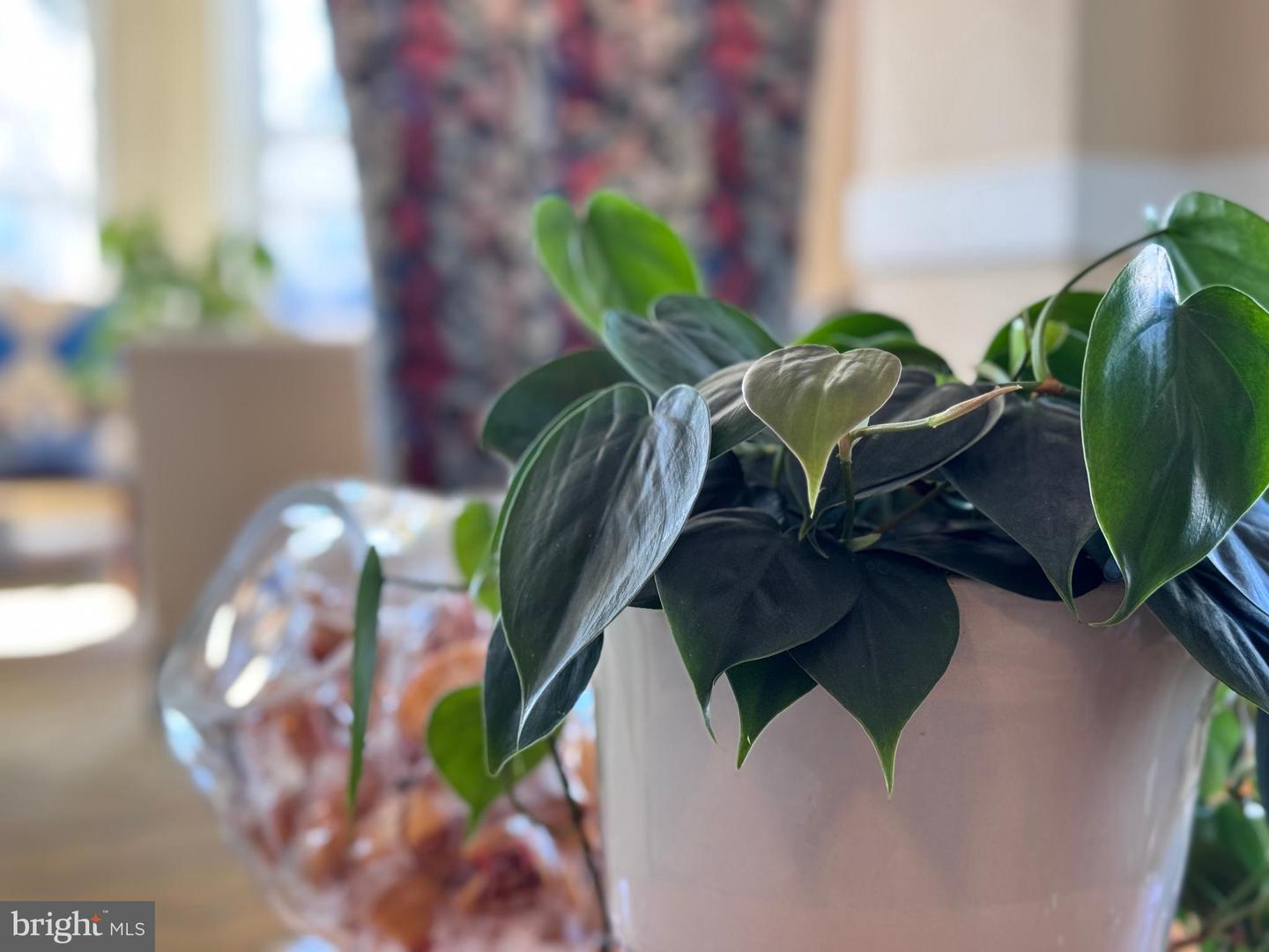 DESU2081962-803716268246-2025-07-26-07-26-29 110 Anglers Rd #hotel Blue | Lewes, DE Real Estate For Sale | MLS# Desu2081962  - Jack Lingo REALTOR