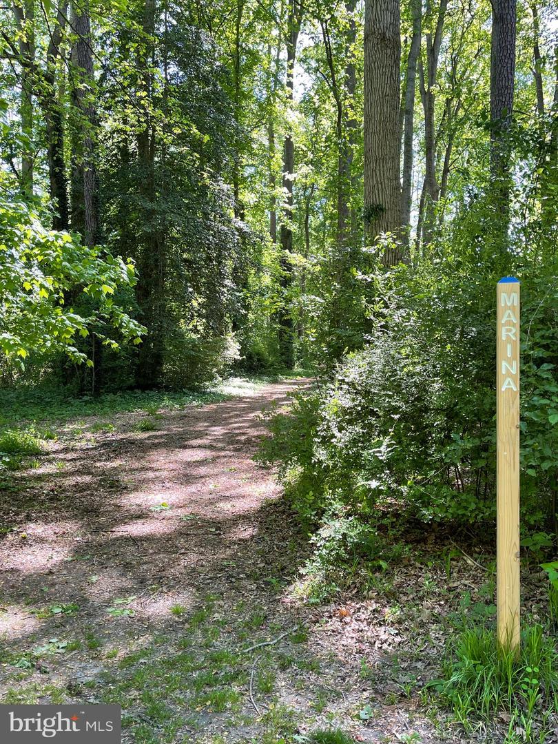 DESU2082046-803719226836-2025-07-07-06-47-04 34084 Woodland Cir | Lewes, DE Real Estate For Sale | MLS# Desu2082046  - Jack Lingo REALTOR
