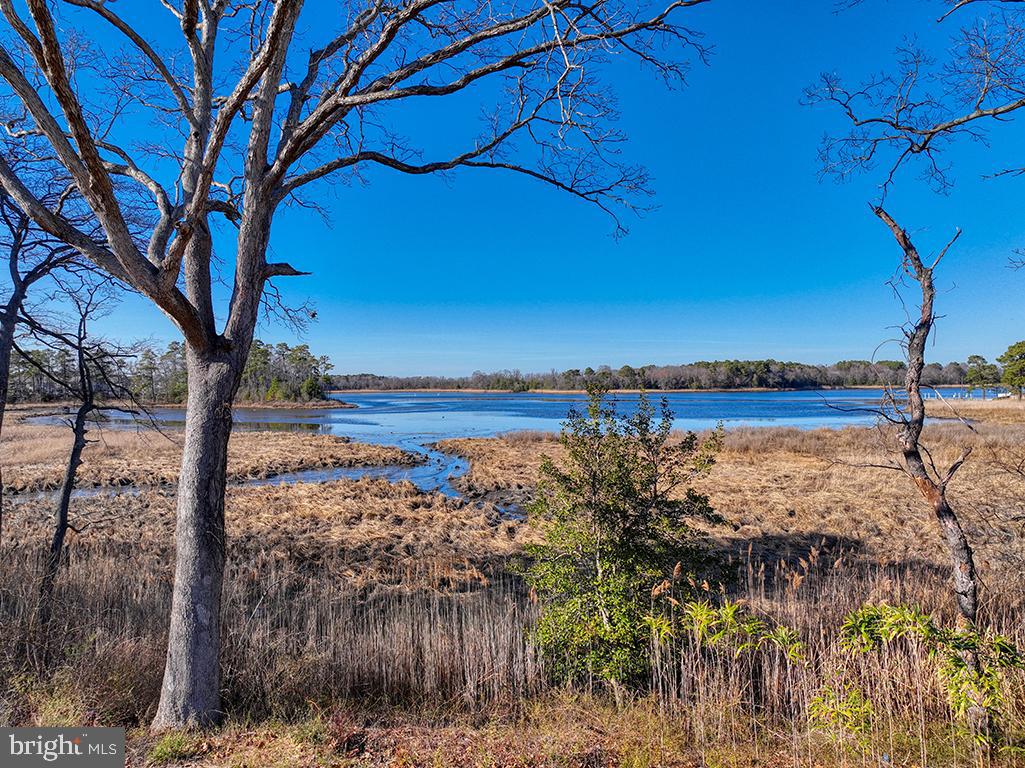 DESU2082072-803722238058-2025-04-02-12-58-32 Lot 10 Possum Point Rd | Millsboro, DE Real Estate For Sale | MLS# Desu2082072  - Jack Lingo REALTOR