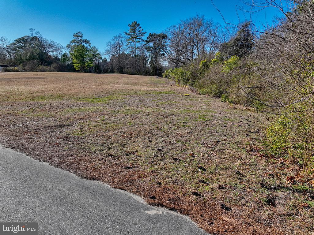 DESU2082072-803722238384-2025-07-15-13-32-28 Lot 10 Possum Point Rd | Millsboro, DE Real Estate For Sale | MLS# Desu2082072  - Jack Lingo REALTOR