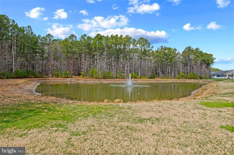 DESU2082074-803727237694-2025-06-18-10-10-39 18067 Emerson Way | Georgetown, DE Real Estate For Sale | MLS# Desu2082074  - Jack Lingo REALTOR