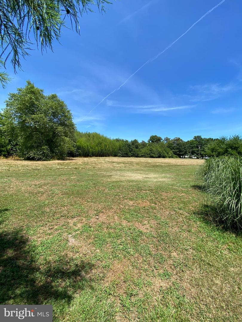 DESU2082194-803723805162-2025-03-29-16-59-36 32828 Murray Rd | Frankford, DE Real Estate For Sale | MLS# Desu2082194  - Jack Lingo REALTOR