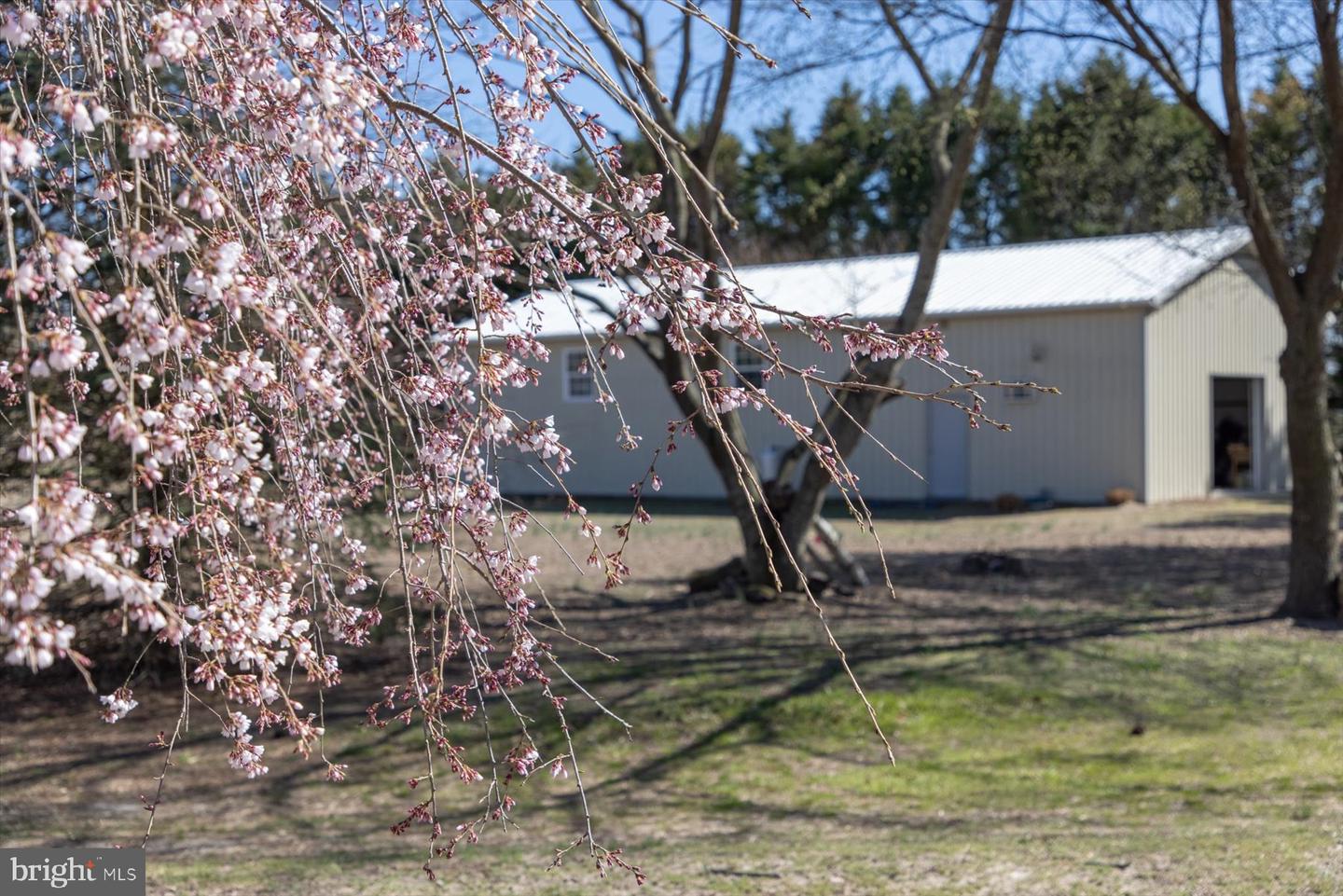 DESU2082194-803729785360-2025-03-29-16-59-34 32828 Murray Rd | Frankford, DE Real Estate For Sale | MLS# Desu2082194  - Jack Lingo REALTOR