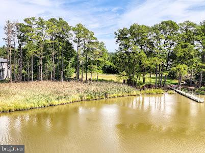 DESU2082208-803722553308-2025-03-26-22-39-25 11 Love Creek Pines Lane | Lewes, DE Real Estate For Sale | MLS# Desu2082208  - Jack Lingo REALTOR
