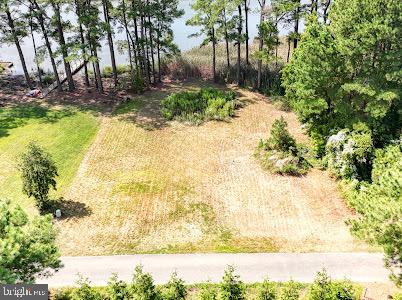 DESU2082208-803722553372-2026-01-19-20-57-34 11 Love Creek Pines Lane | Lewes, DE Real Estate For Sale | MLS# Desu2082208  - Jack Lingo REALTOR