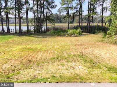 DESU2082208-803722553414-2025-03-26-22-39-25 11 Love Creek Pines Lane | Lewes, DE Real Estate For Sale | MLS# Desu2082208  - Jack Lingo REALTOR