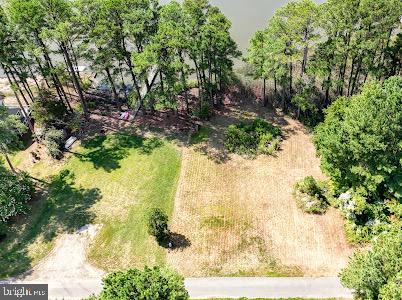 DESU2082208-803722553780-2025-03-26-22-39-25 11 Love Creek Pines Lane | Lewes, DE Real Estate For Sale | MLS# Desu2082208  - Jack Lingo REALTOR