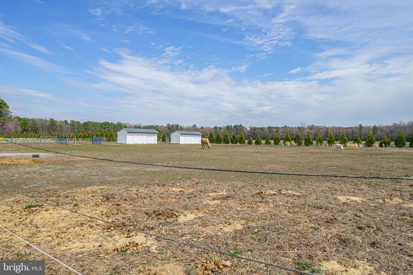 DESU2082210-803733879760-2025-04-02-17-20-24 10053 Blacksmith Shop Rd | Greenwood, DE Real Estate For Sale | MLS# Desu2082210  - Jack Lingo REALTOR
