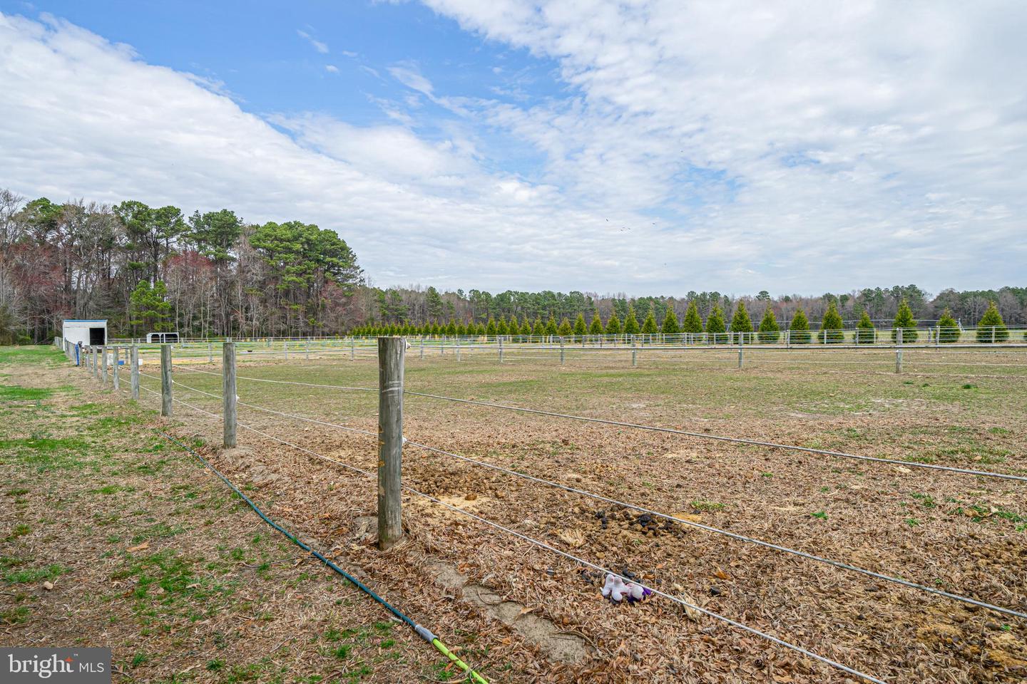 DESU2082210-803733880376-2025-04-02-17-20-25 10053 Blacksmith Shop Rd | Greenwood, DE Real Estate For Sale | MLS# Desu2082210  - Jack Lingo REALTOR