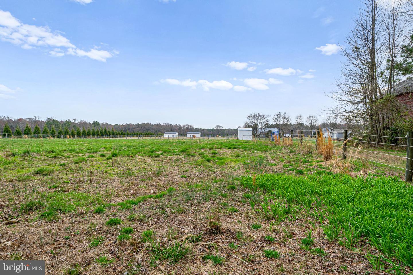 DESU2082210-803733880802-2025-04-02-17-20-24 10053 Blacksmith Shop Rd | Greenwood, DE Real Estate For Sale | MLS# Desu2082210  - Jack Lingo REALTOR