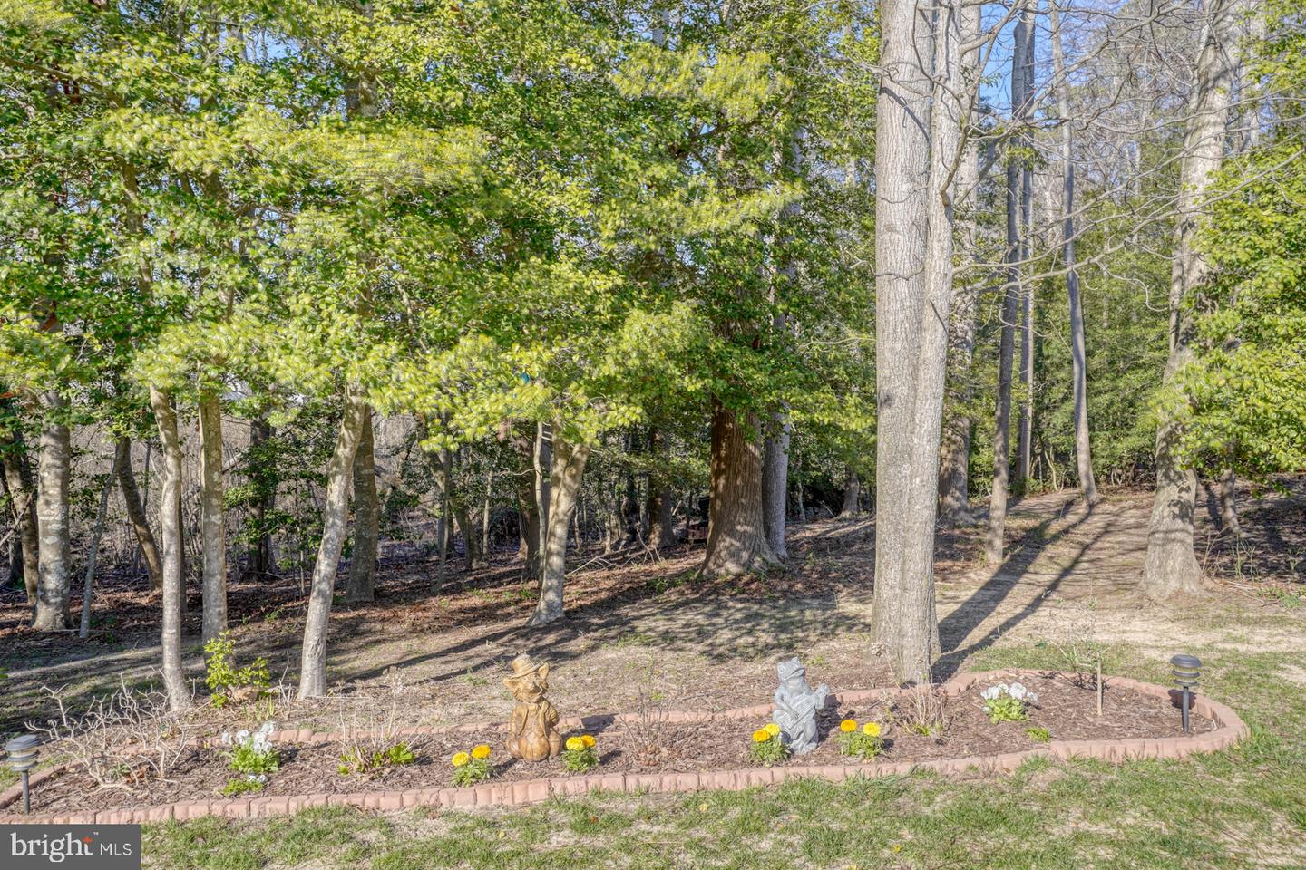 DESU2082226-803729405782-2025-03-29-10-10-27 21555 Waterview Rd | Lewes, DE Real Estate For Sale | MLS# Desu2082226  - Jack Lingo REALTOR