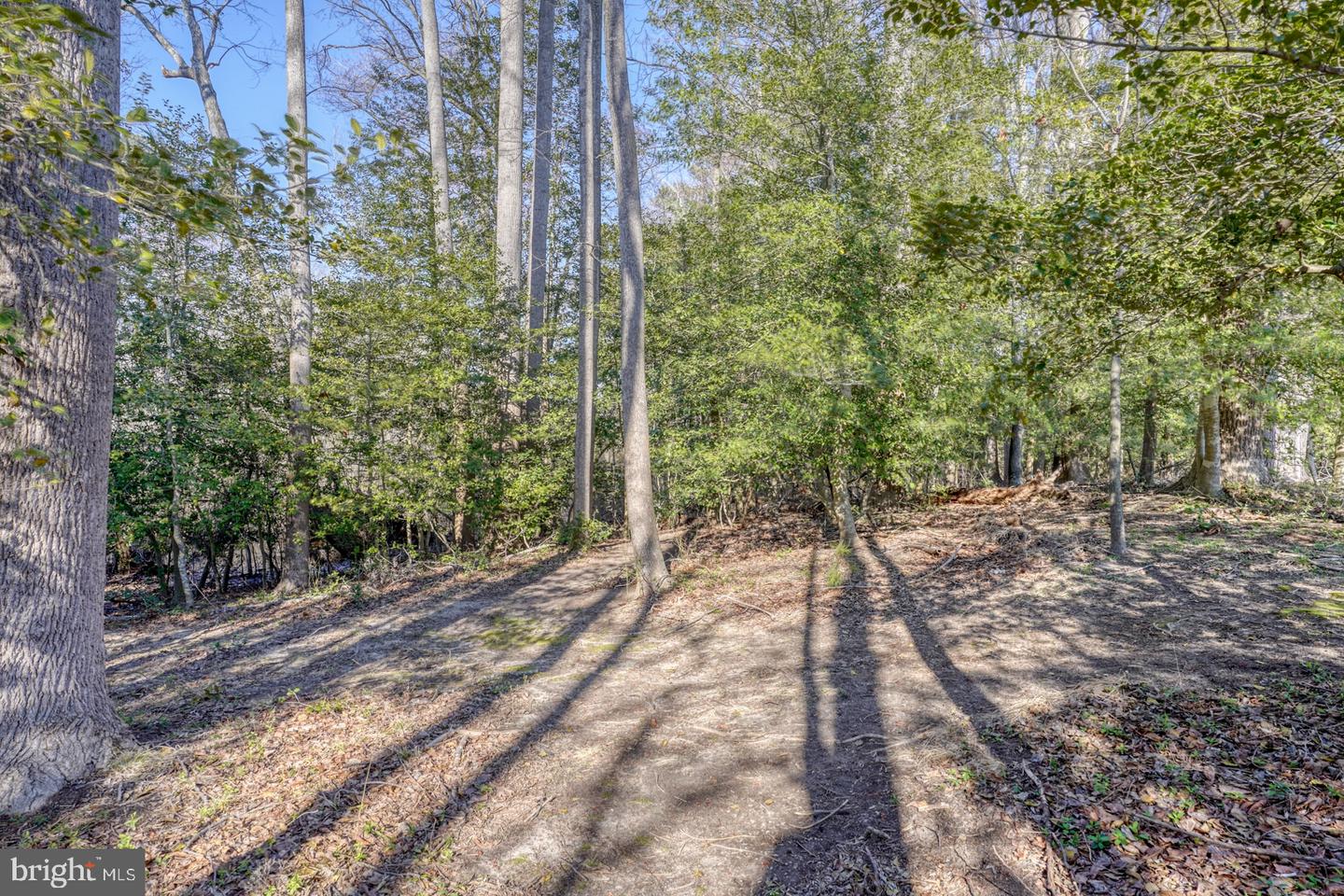 DESU2082226-803729406208-2025-03-29-10-05-34 21555 Waterview Rd | Lewes, DE Real Estate For Sale | MLS# Desu2082226  - Jack Lingo REALTOR