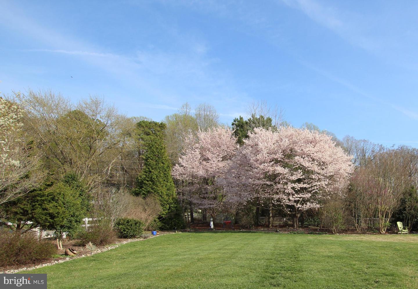 DESU2082228-803740515736-2025-04-02-20-41-16 16408 Winding River Dr | Milton, DE Real Estate For Sale | MLS# Desu2082228  - Jack Lingo REALTOR