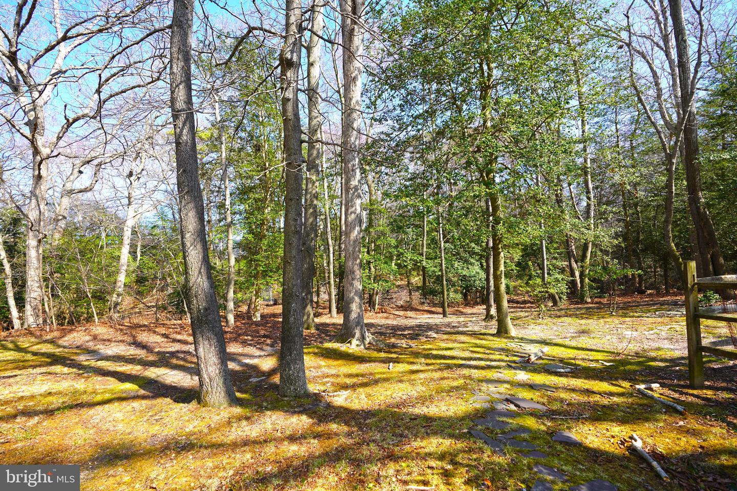 DESU2082286-803724258838-2025-03-30-14-42-20 128 White Oak Rd | Rehoboth Beach, DE Real Estate For Sale | MLS# Desu2082286  - Jack Lingo REALTOR