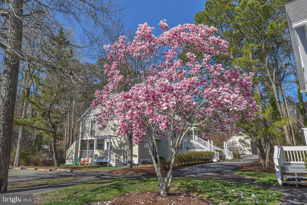 DESU2082308-803736631690-2025-04-04-12-47-05 33597 Center Ct #1205 | Bethany Beach, DE Real Estate For Sale | MLS# Desu2082308  - Jack Lingo REALTOR