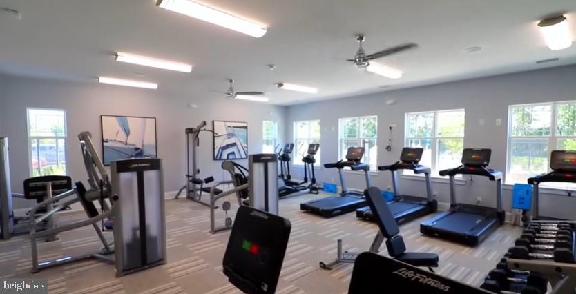 DESU2082418-803739497250-2025-04-03-00-30-40 19338 Royal St | Lewes, DE Real Estate For Sale | MLS# Desu2082418  - Jack Lingo REALTOR