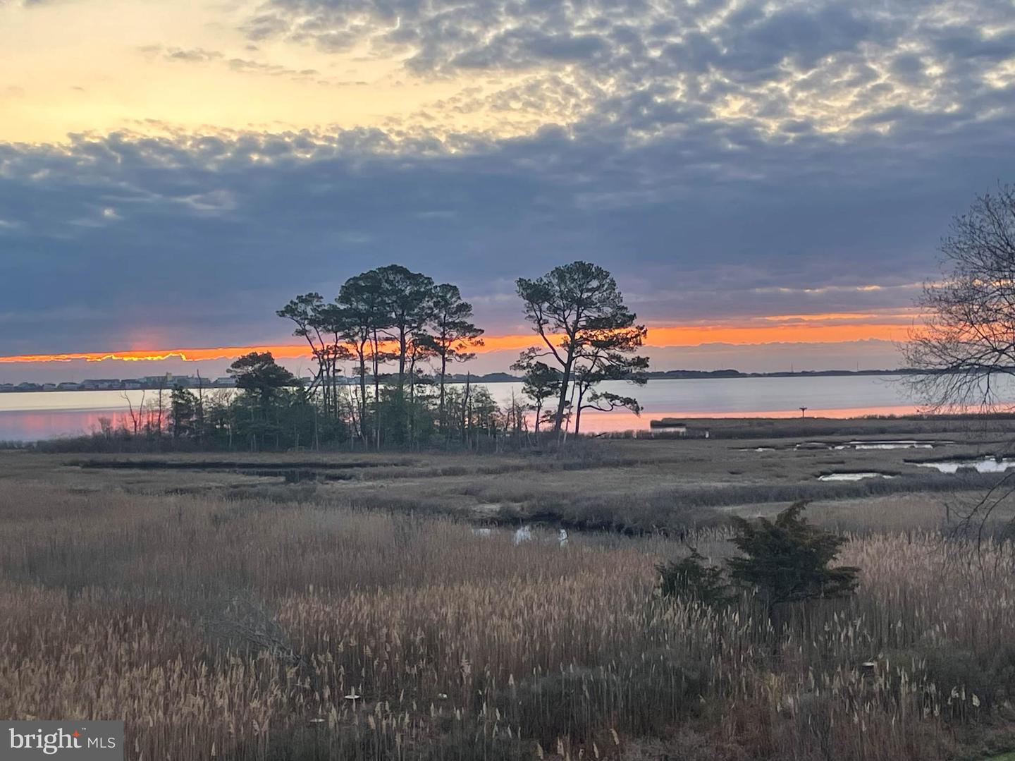 DESU2082542-803732548376-2025-06-12-14-06-46 38312 Ocean Vista Dr #1082 | Selbyville, DE Real Estate For Sale | MLS# Desu2082542  - Jack Lingo REALTOR