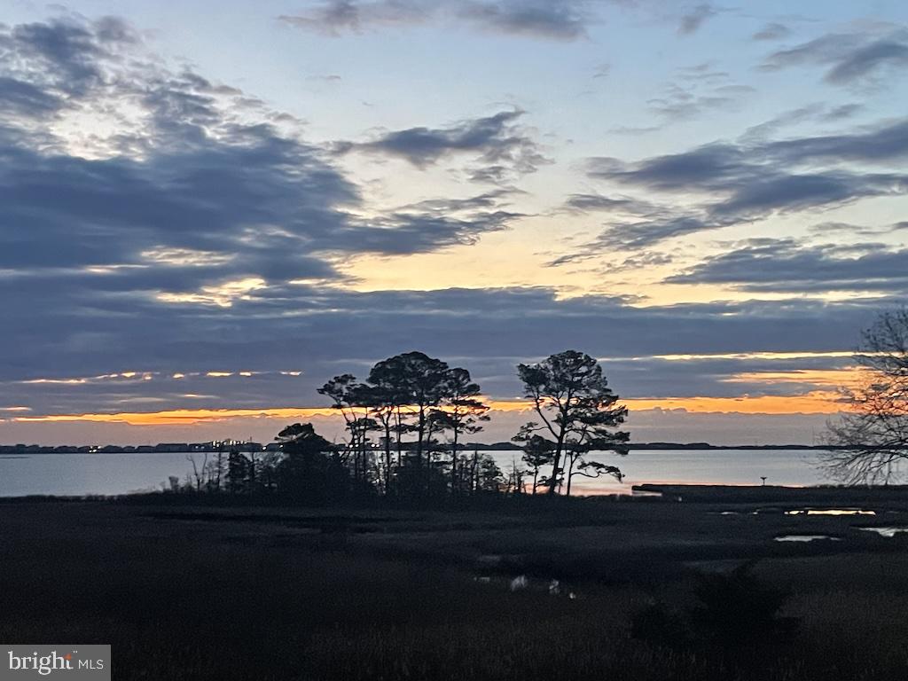 DESU2082542-803733128912-2025-06-12-14-06-50 38312 Ocean Vista Dr #1082 | Selbyville, DE Real Estate For Sale | MLS# Desu2082542  - Jack Lingo REALTOR