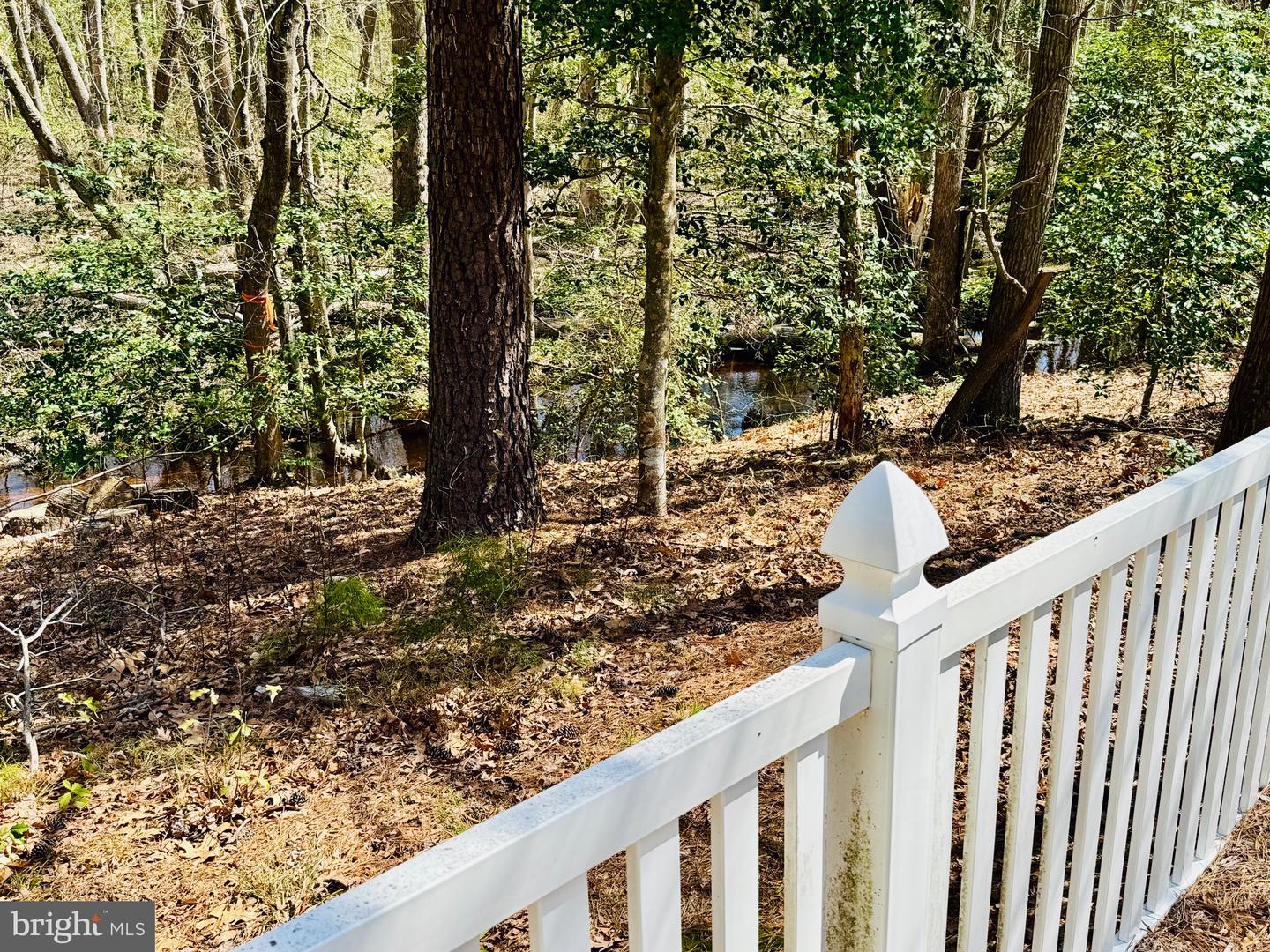 DESU2082610-803734976642-2025-05-05-13-13-50 24795 Waterview Way | Georgetown, DE Real Estate For Sale | MLS# Desu2082610  - Jack Lingo REALTOR