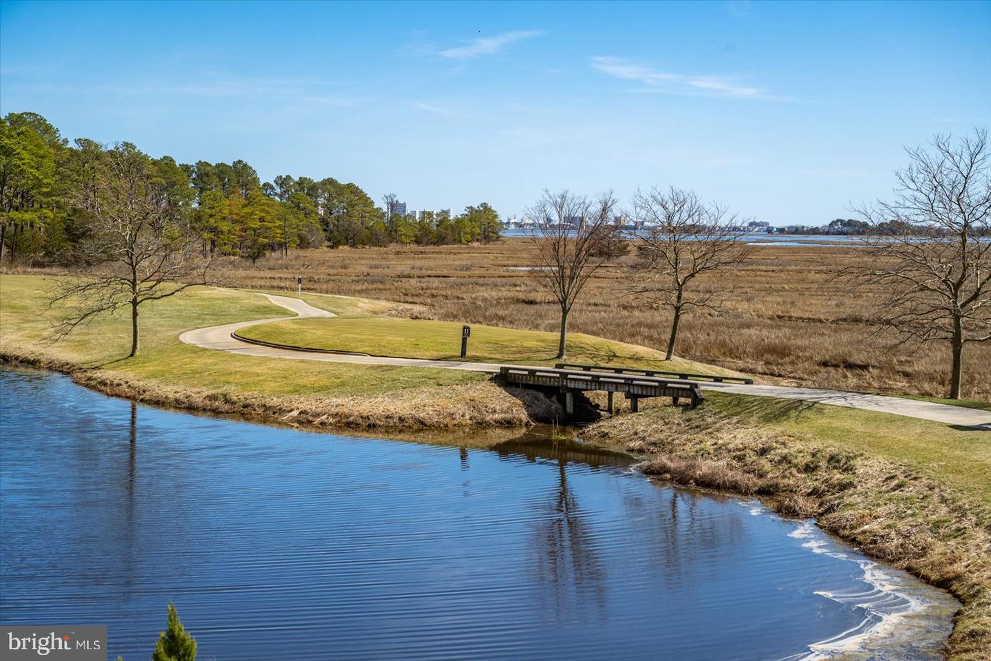 DESU2082666-803751287182-2025-06-15-11-53-43 30338 Sea Watch Walk | Selbyville, DE Real Estate For Sale | MLS# Desu2082666  - Jack Lingo REALTOR
