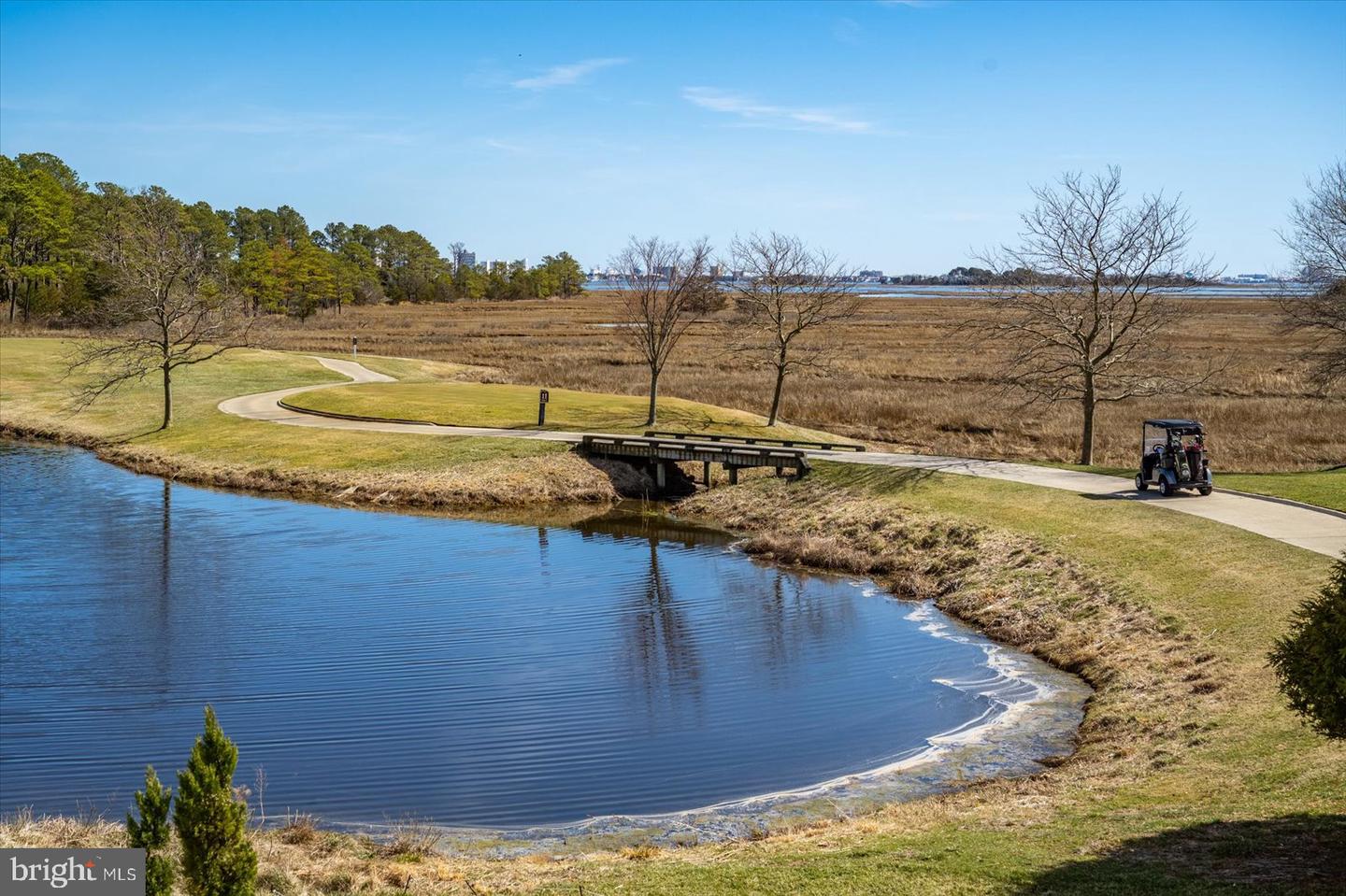DESU2082666-803751287708-2025-06-15-11-53-42 30338 Sea Watch Walk | Selbyville, DE Real Estate For Sale | MLS# Desu2082666  - Jack Lingo REALTOR