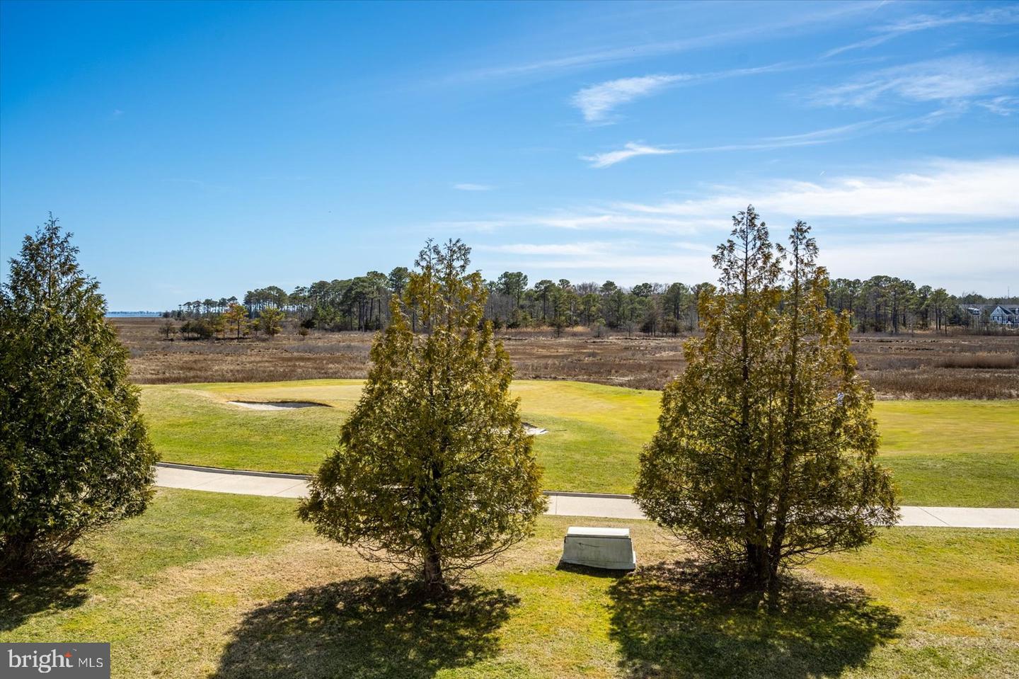 DESU2082666-803751287914-2025-06-15-11-53-44 30338 Sea Watch Walk | Selbyville, DE Real Estate For Sale | MLS# Desu2082666  - Jack Lingo REALTOR
