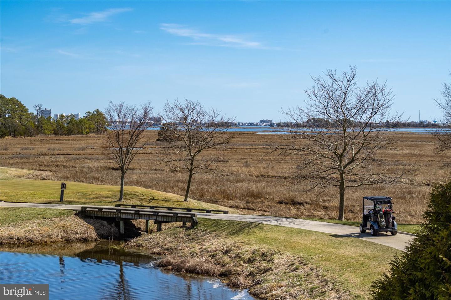 DESU2082666-803751289046-2025-06-15-11-53-39 30338 Sea Watch Walk | Selbyville, DE Real Estate For Sale | MLS# Desu2082666  - Jack Lingo REALTOR