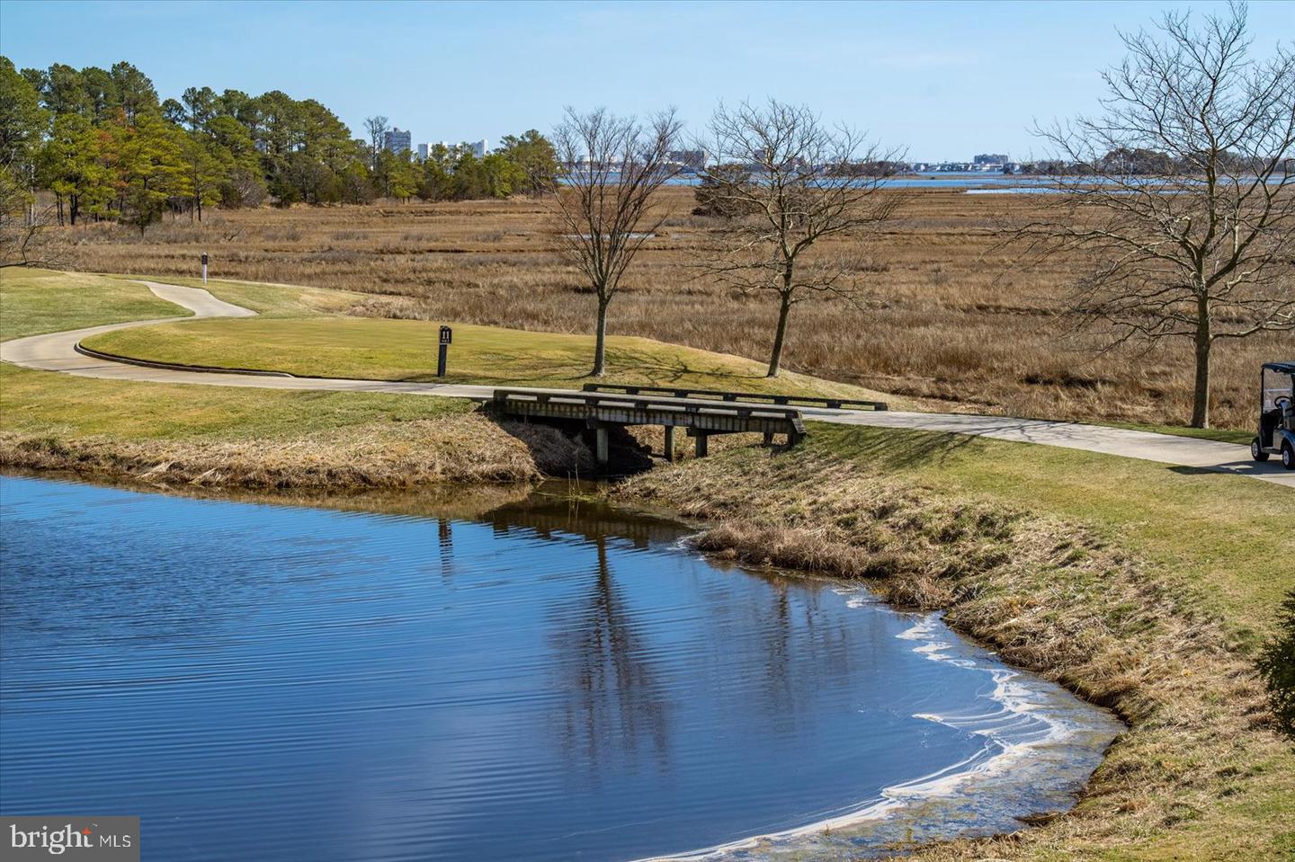 DESU2082666-803751289354-2025-06-15-11-53-48 30338 Sea Watch Walk | Selbyville, DE Real Estate For Sale | MLS# Desu2082666  - Jack Lingo REALTOR