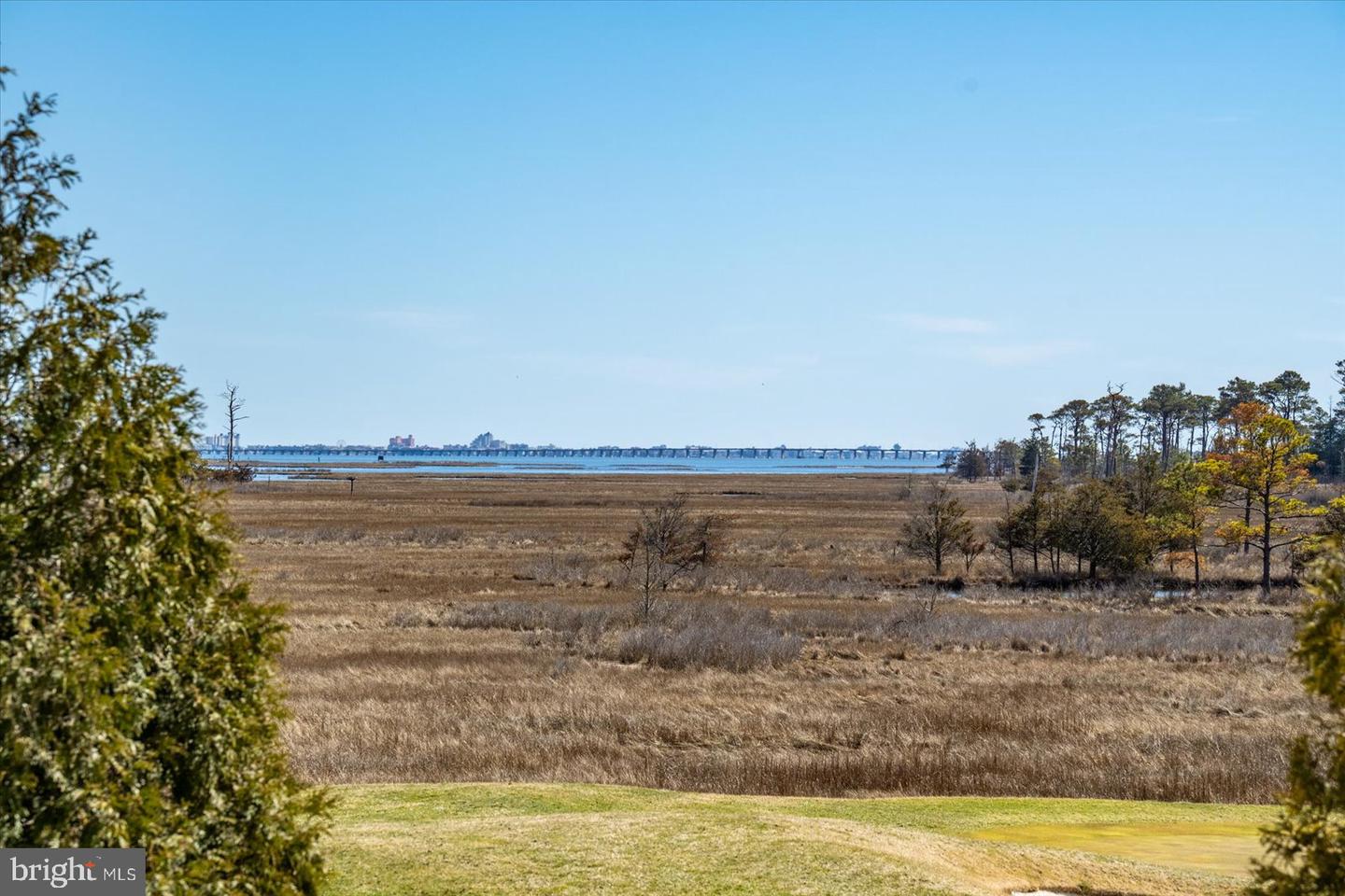 DESU2082666-803751289770-2025-06-15-11-53-41 30338 Sea Watch Walk | Selbyville, DE Real Estate For Sale | MLS# Desu2082666  - Jack Lingo REALTOR