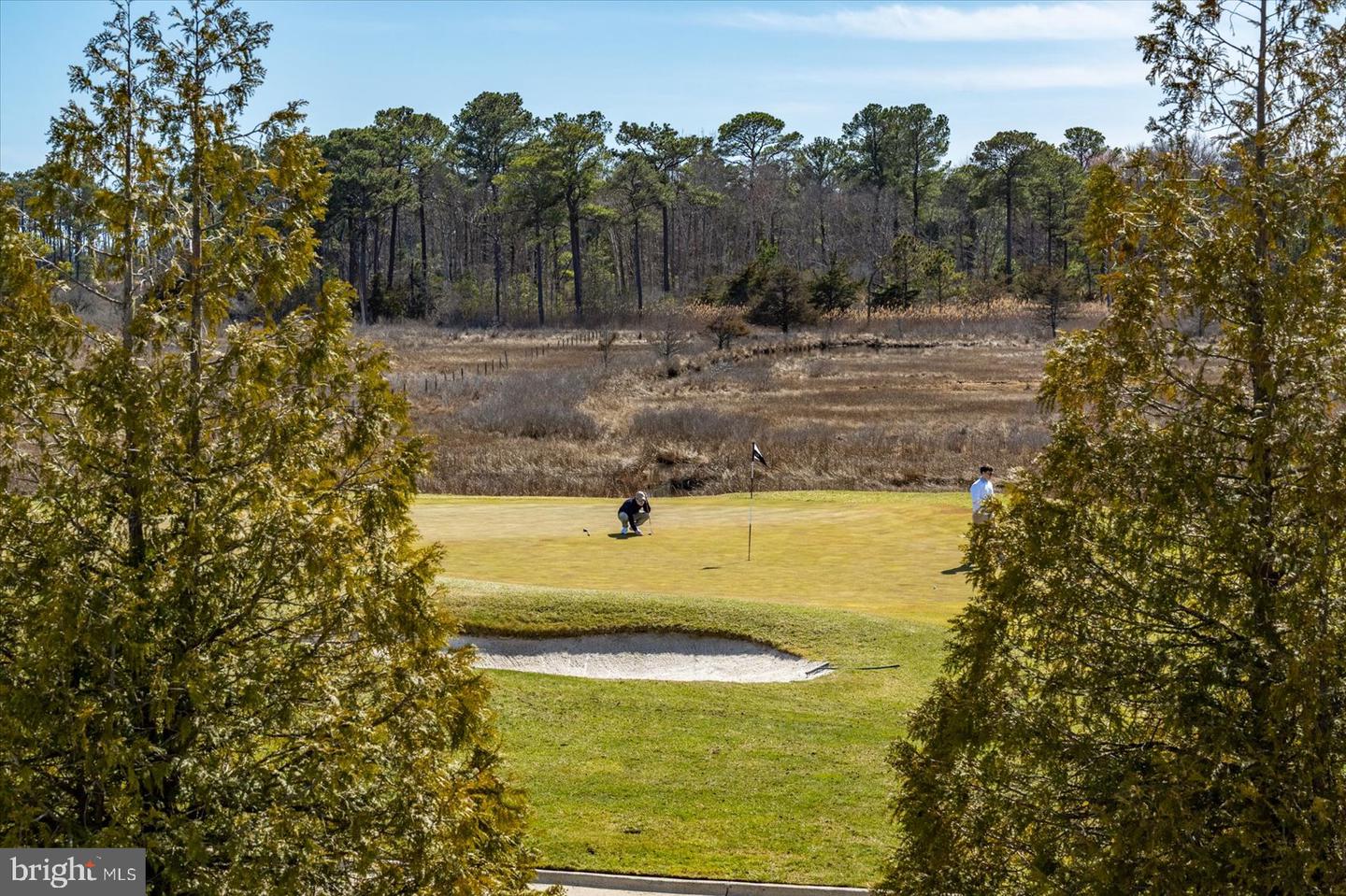 DESU2082666-803751289868-2025-06-15-11-53-48 30338 Sea Watch Walk | Selbyville, DE Real Estate For Sale | MLS# Desu2082666  - Jack Lingo REALTOR