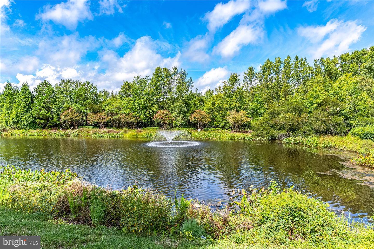 DESU2082666-803751524534-2025-06-15-11-53-41 30338 Sea Watch Walk | Selbyville, DE Real Estate For Sale | MLS# Desu2082666  - Jack Lingo REALTOR