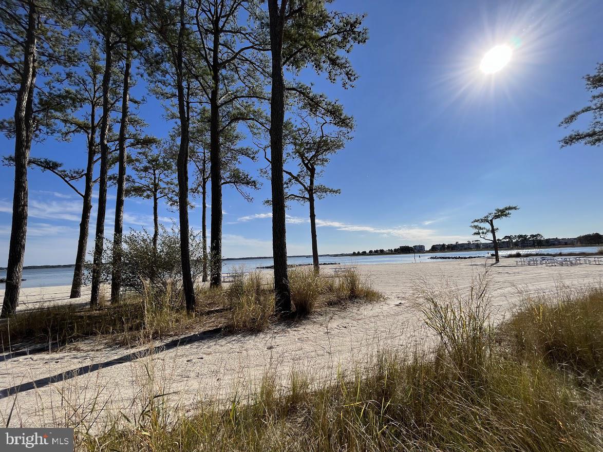 DESU2082686-803736667066-2025-04-02-11-34-09 34482 Basin Cir #655 | Long Neck, DE Real Estate For Sale | MLS# Desu2082686  - Jack Lingo REALTOR