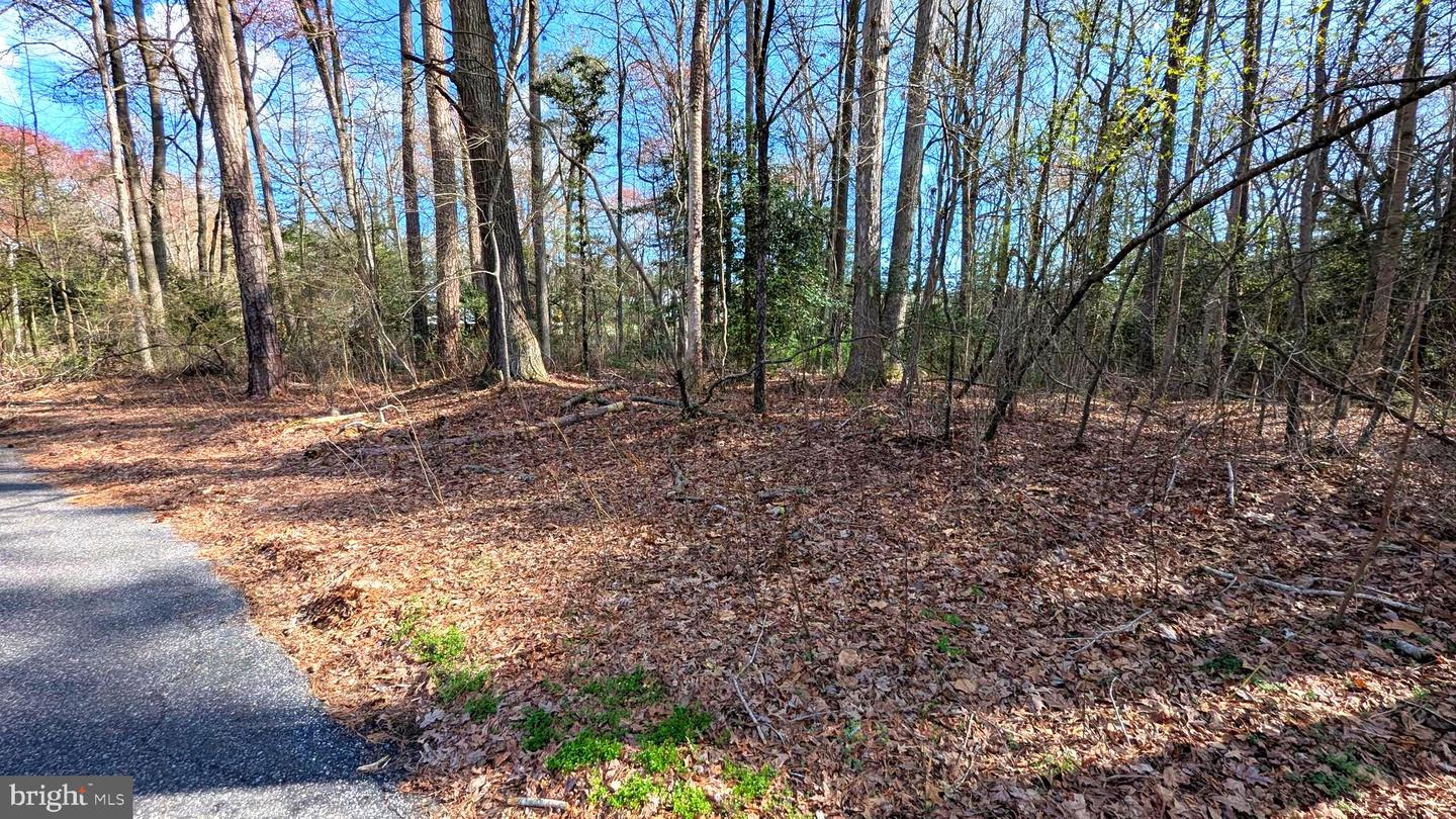 DESU2082714-803736814462-2025-04-01-17-27-32 1 Woodland Dr | Seaford, DE Real Estate For Sale | MLS# Desu2082714  - Jack Lingo REALTOR