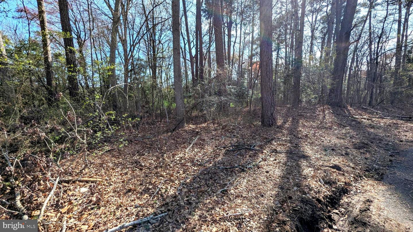 DESU2082714-803736814688-2025-04-01-17-27-32 1 Woodland Dr | Seaford, DE Real Estate For Sale | MLS# Desu2082714  - Jack Lingo REALTOR