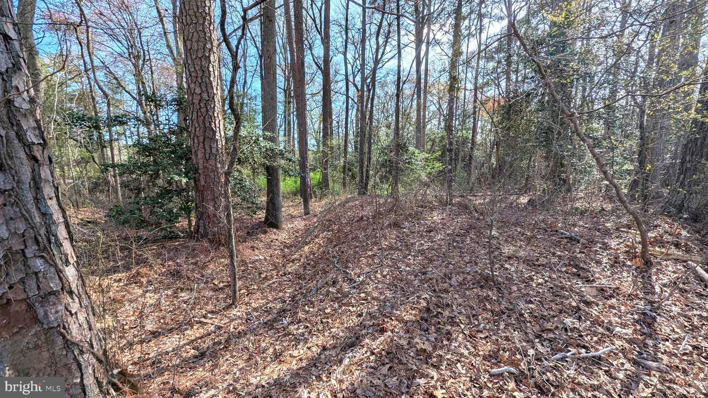 DESU2082714-803736814840-2025-04-01-17-27-32 1 Woodland Dr | Seaford, DE Real Estate For Sale | MLS# Desu2082714  - Jack Lingo REALTOR