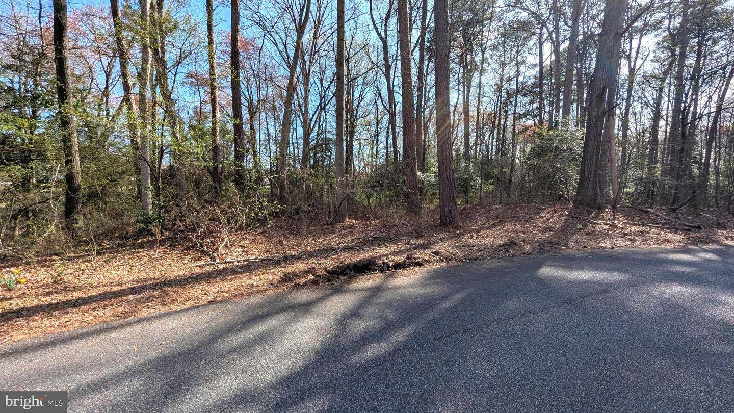 DESU2082714-803736814902-2025-04-01-17-27-33 1 Woodland Dr | Seaford, DE Real Estate For Sale | MLS# Desu2082714  - Jack Lingo REALTOR