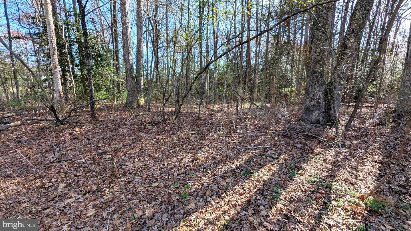 DESU2082714-803736814948-2025-04-01-17-27-33 1 Woodland Dr | Seaford, DE Real Estate For Sale | MLS# Desu2082714  - Jack Lingo REALTOR