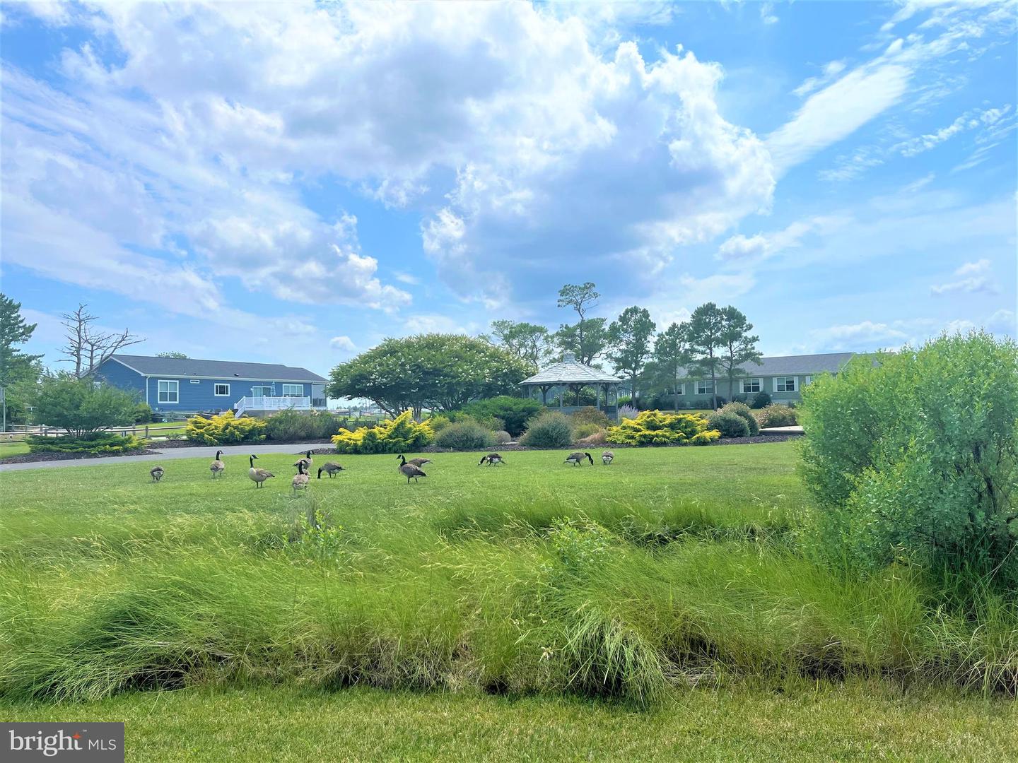 DESU2082730-803744647188-2025-04-05-18-20-14 26396 Pine Cone Dr #lot #152 | Long Neck, DE Real Estate For Sale | MLS# Desu2082730  - Jack Lingo REALTOR
