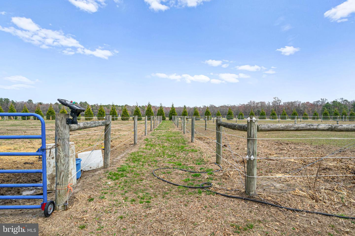 DESU2082838-803740112852-2025-04-02-17-56-36 10053 Blacksmith Shop Rd | Greenwood, DE Real Estate For Sale | MLS# Desu2082838  - Jack Lingo REALTOR