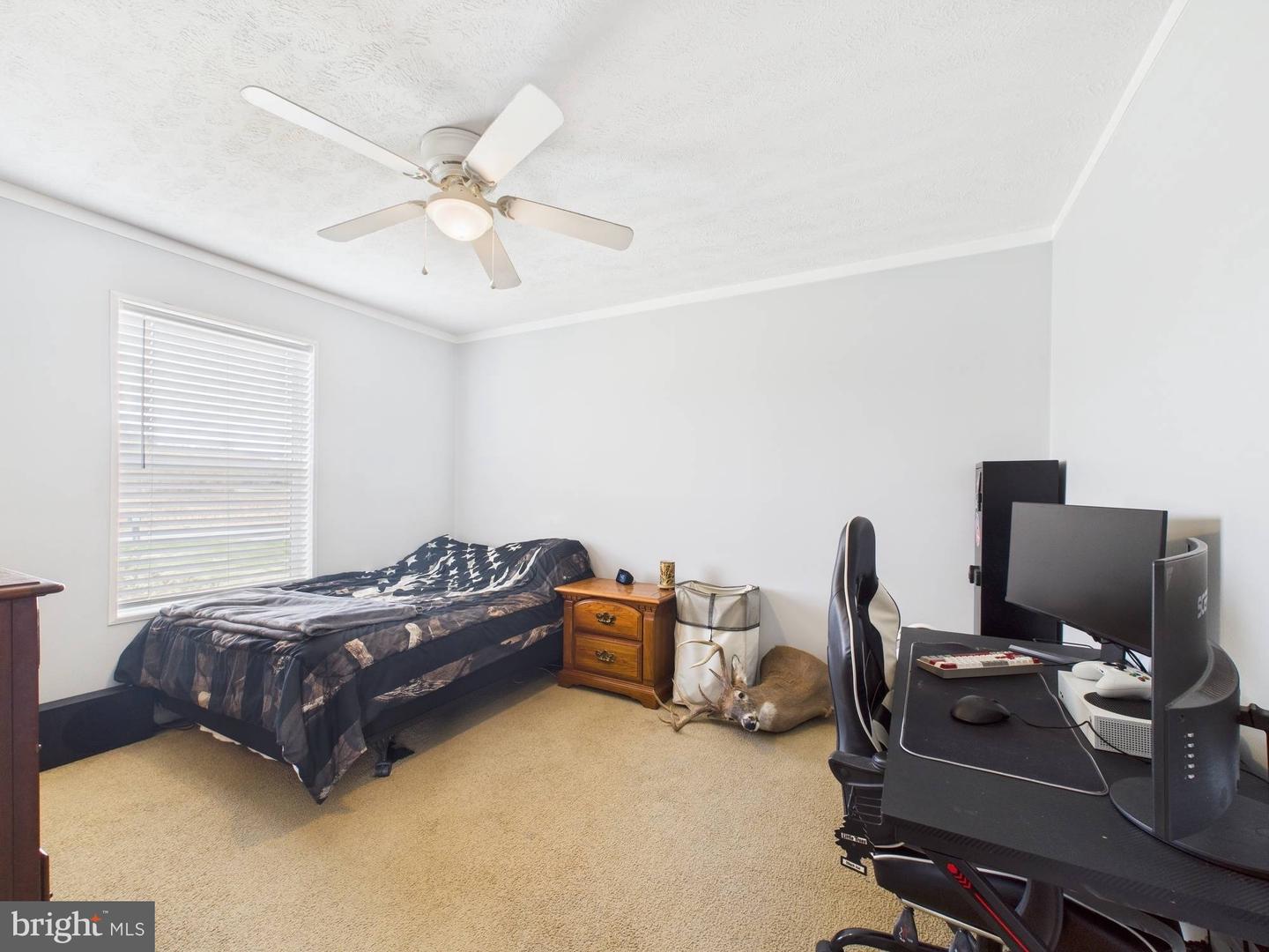 DESU2082890-803745974308-2025-04-14-12-13-04 11685 Double Fork Rd | Greenwood, DE Real Estate For Sale | MLS# Desu2082890  - Jack Lingo REALTOR