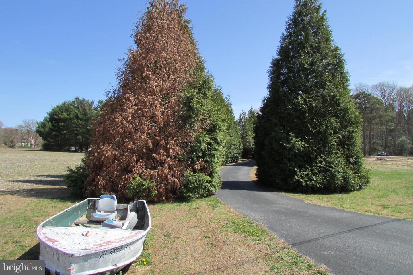 DESU2082918-803742784488-2025-04-05-10-57-02 27428 John J Williams Hwy | Millsboro, DE Real Estate For Sale | MLS# Desu2082918  - Jack Lingo REALTOR