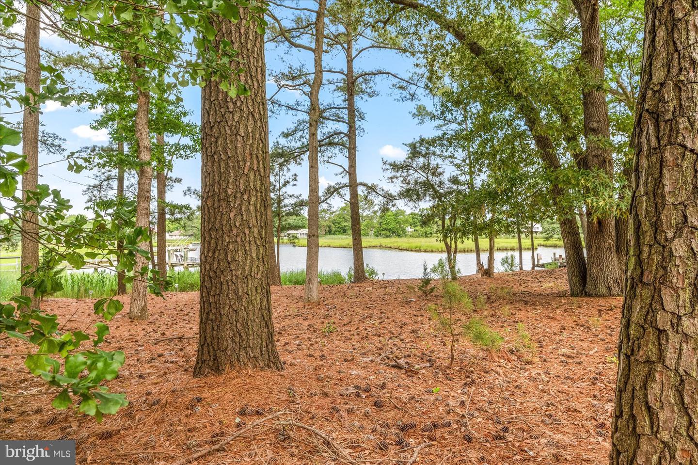 DESU2082930-803744127796-2025-04-03-22-09-25 4 Indian Hill Ln | Ocean View, DE Real Estate For Sale | MLS# Desu2082930  - Jack Lingo REALTOR