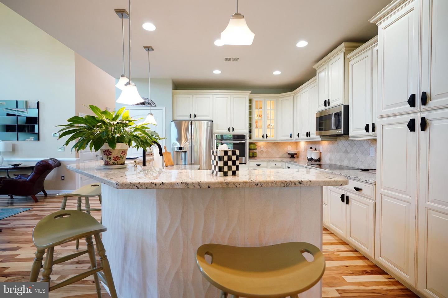 DESU2082980-803744694342-2025-07-10-11-40-02 29738 Oliver Wolcott Dr | Millsboro, DE Real Estate For Sale | MLS# Desu2082980  - Jack Lingo REALTOR