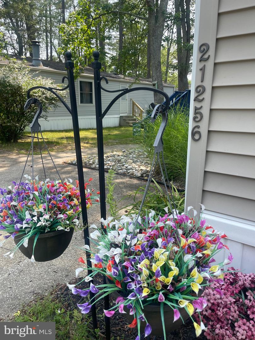 DESU2083150-803931593346-2025-06-12-15-32-25 21256 M St #36659 | Rehoboth Beach, DE Real Estate For Sale | MLS# Desu2083150  - Jack Lingo REALTOR