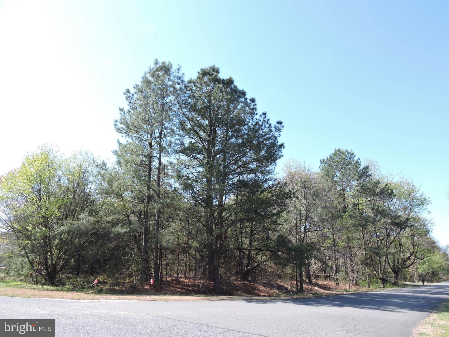 55 TIDEWATER DR, SEAFORD, DE - Jack Lingo Realtor
