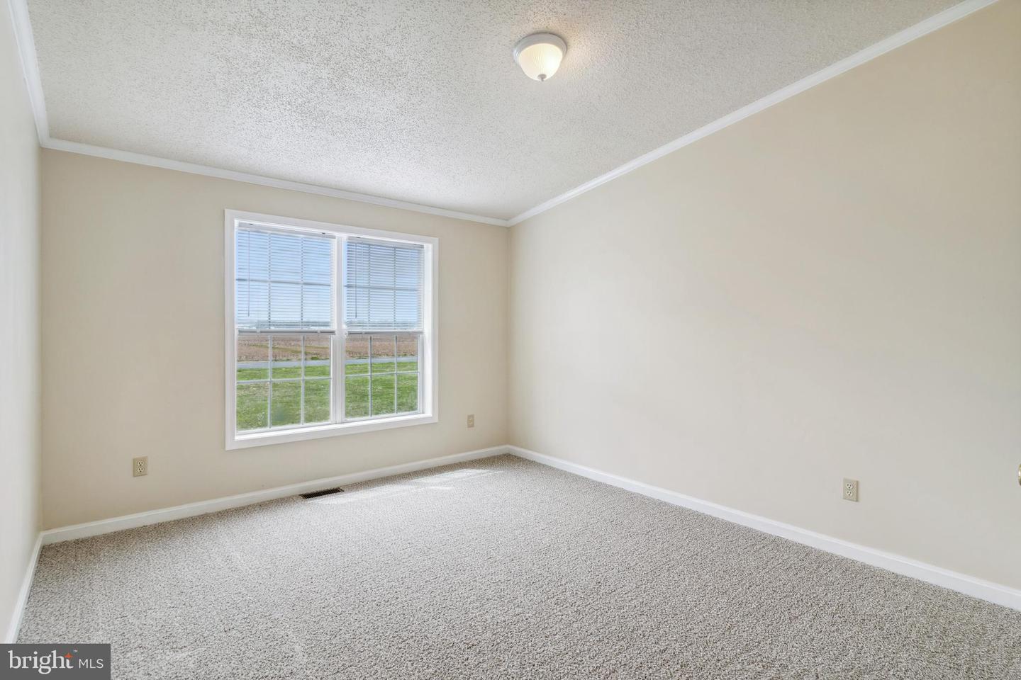 DESU2083324-803754433410-2025-04-11-00-28-32 14539 Saint Johnstown Rd | Greenwood, DE Real Estate For Sale | MLS# Desu2083324  - Jack Lingo REALTOR