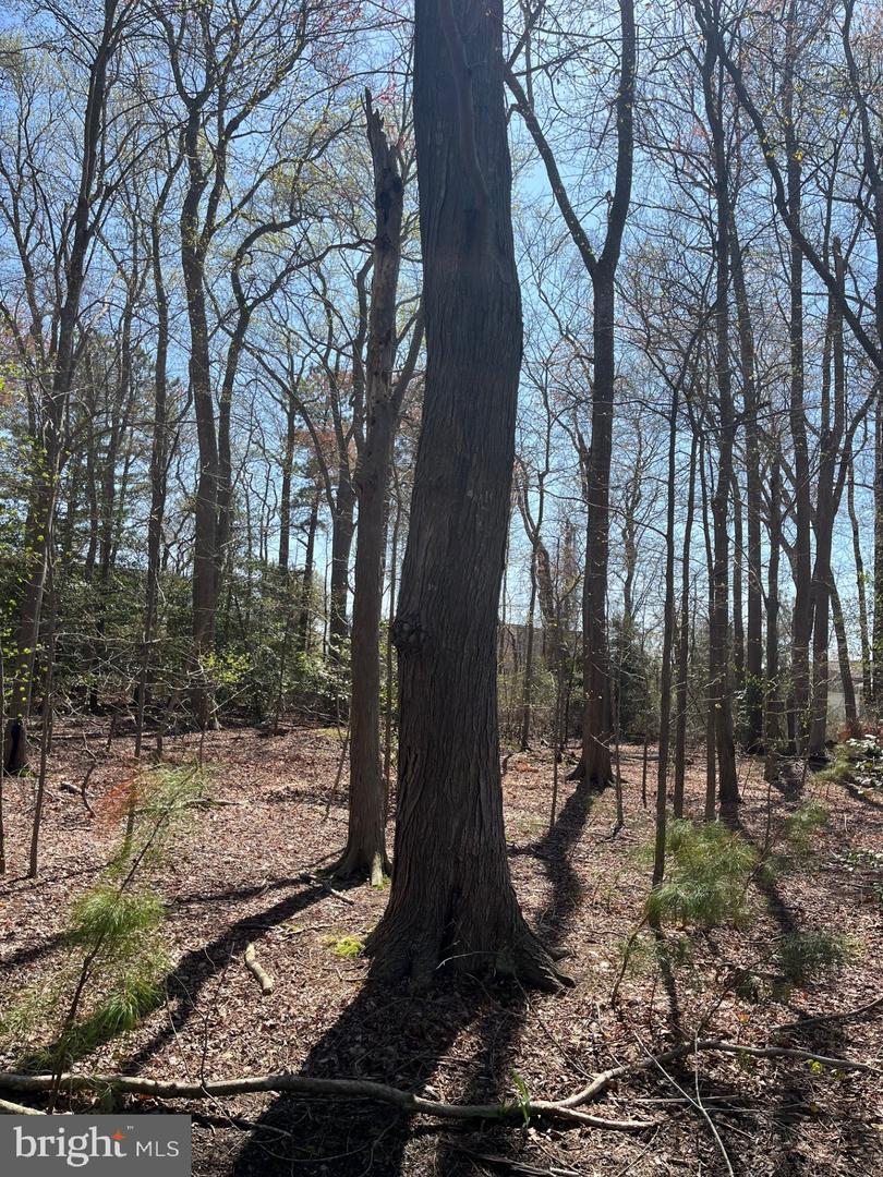 LOT 22 PINE GROVE LN, OCEAN VIEW, DE - Jack Lingo Realtor